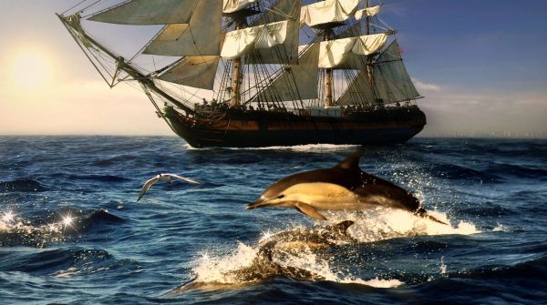 До чого сниться дельфін: тлумачення за різними сонникам