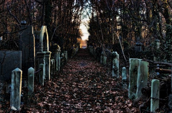 До чого сниться кладовище — тлумачення з популярним сонникам