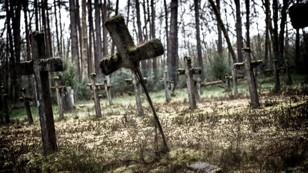 До чого сниться кладовище — тлумачення з популярним сонникам