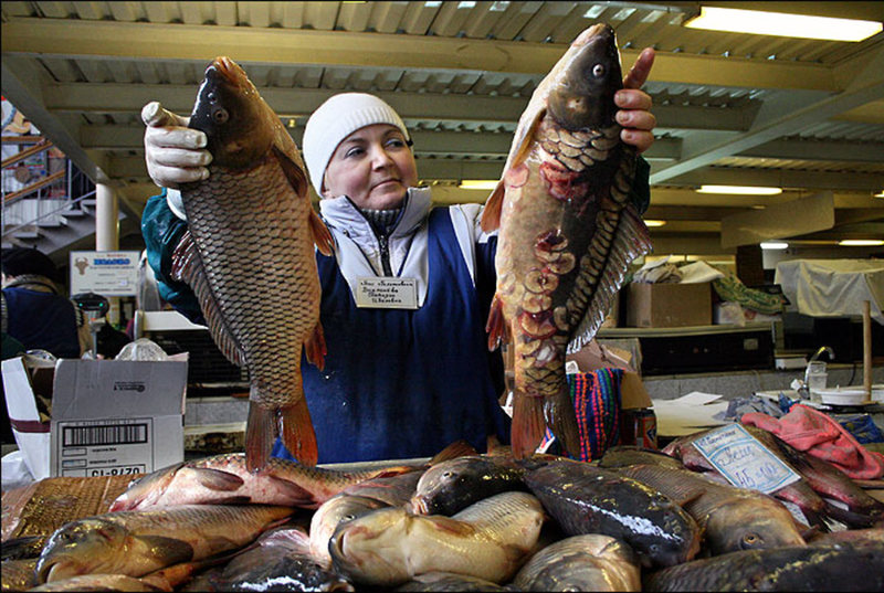 До чого сниться купувати рибу: тлумачення за різними сонникам